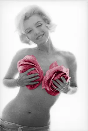 Fotografia Stern - Marilyn Pink Roses Large