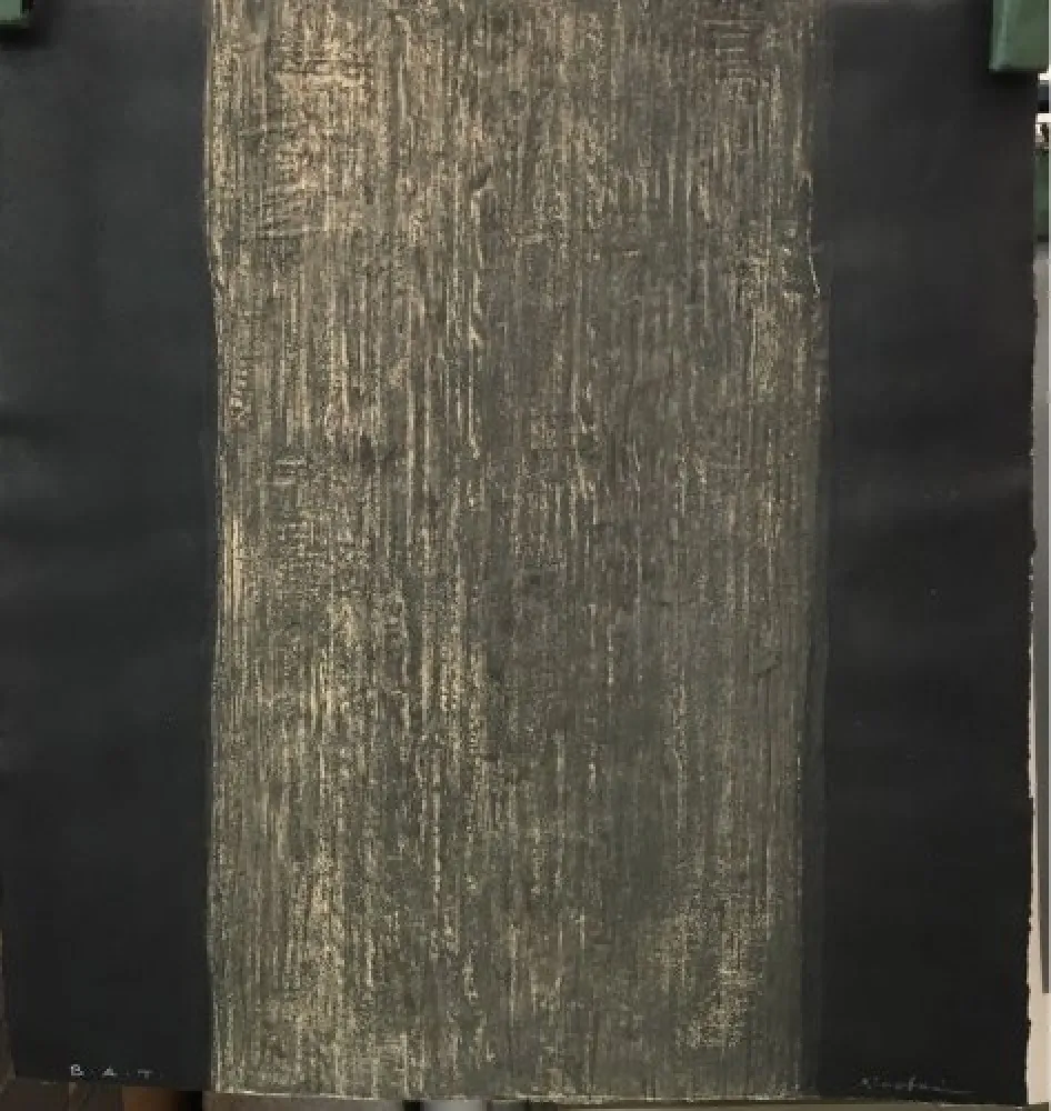 Água-Forte E Água-Tinta Su - Imperial Academy 1