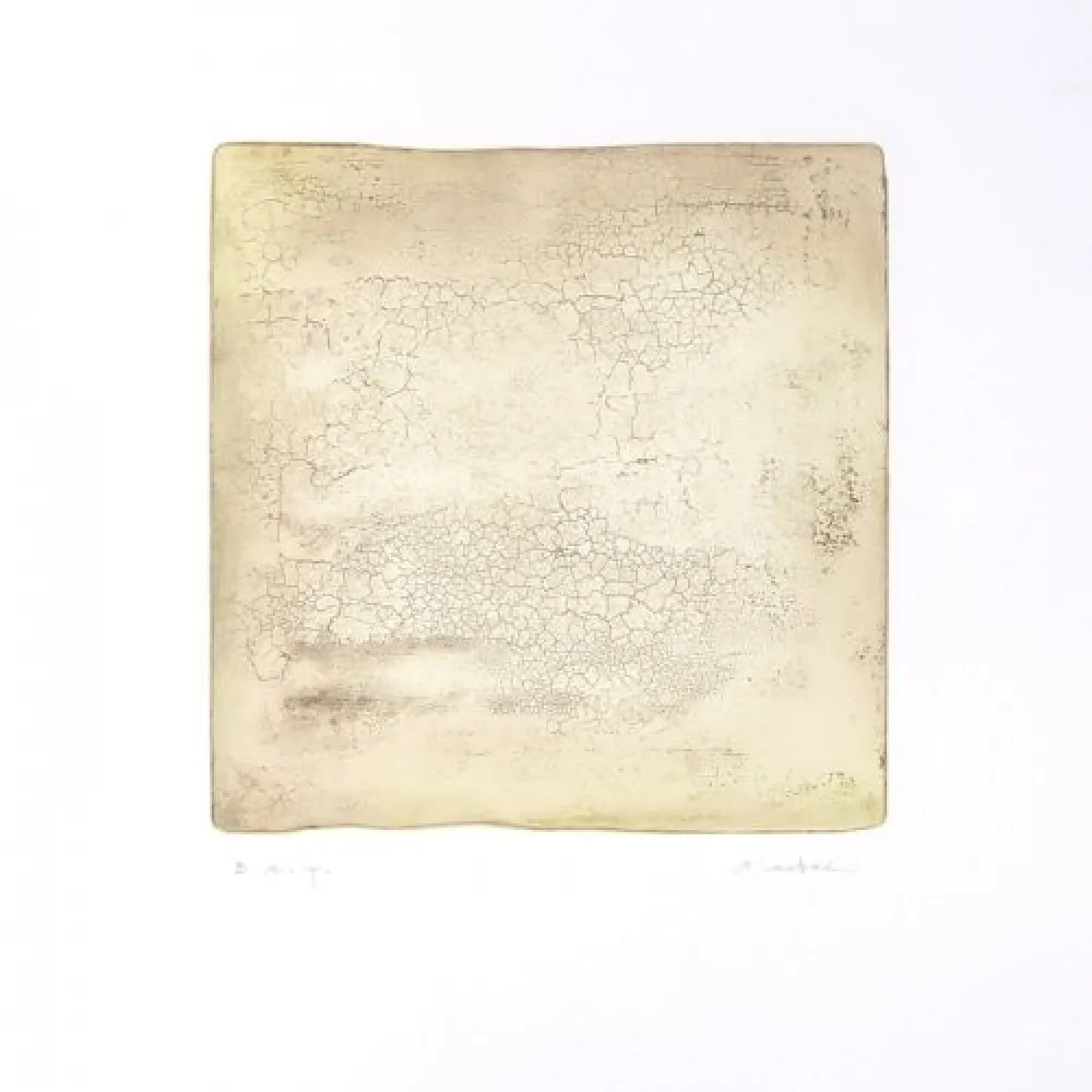 Gravura Su - Inactness B