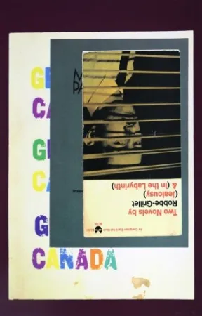 Serigrafia Sullivan - After the life for the most part (f)