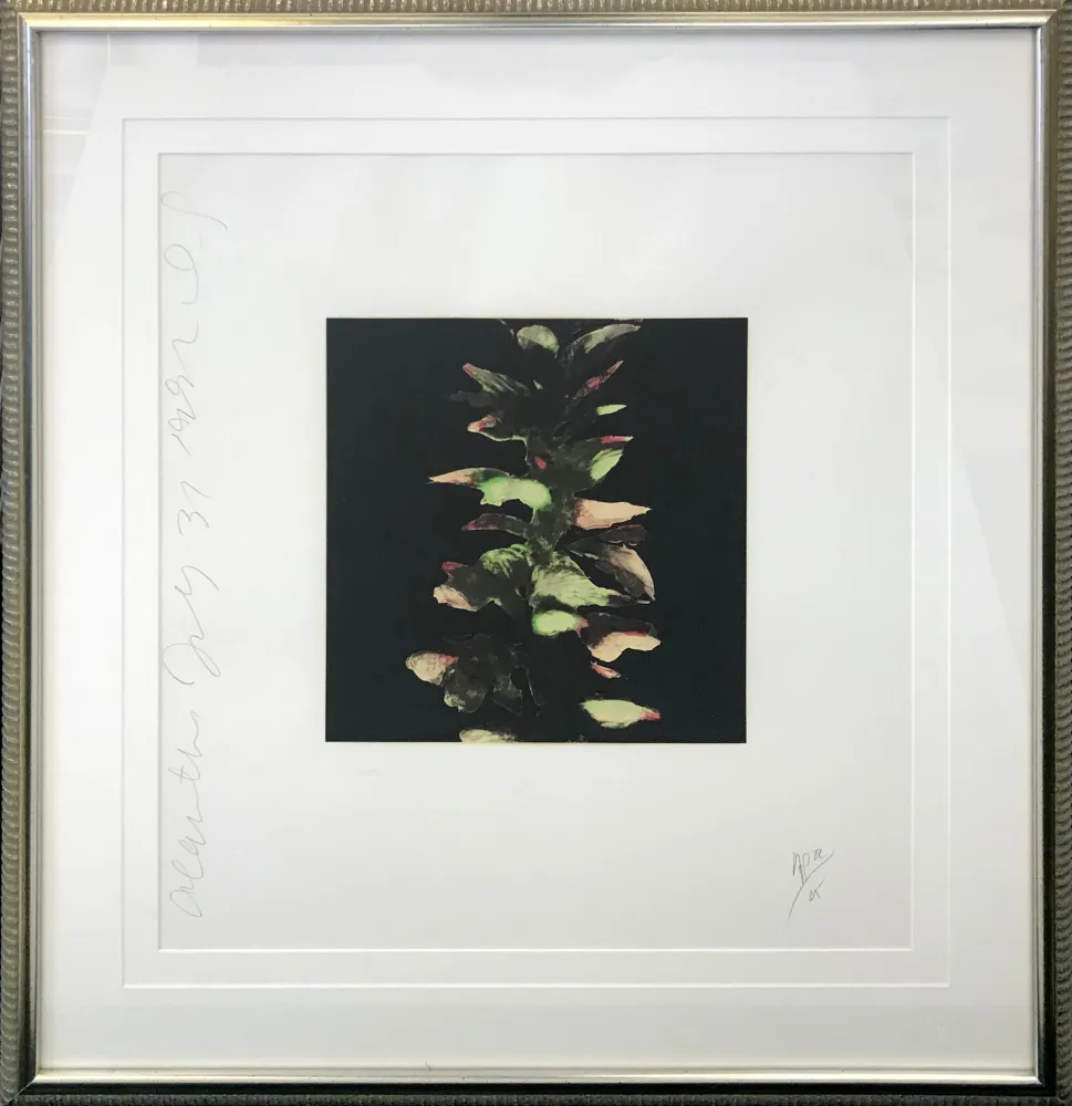 Serigrafia Sultan - ACANTHUS