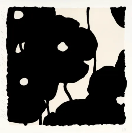 Múltiplo Sultan - Black Poppies, Sept 7