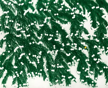 Múltiplo Sultan - Mimosa, April 12, 2023