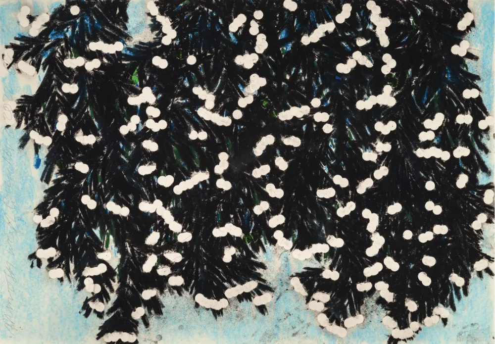 Sem Técnica Sultan - Mimosa with Green