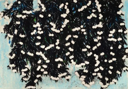 Múltiplo Sultan - Mimosa with Green, Jan 25, 2023