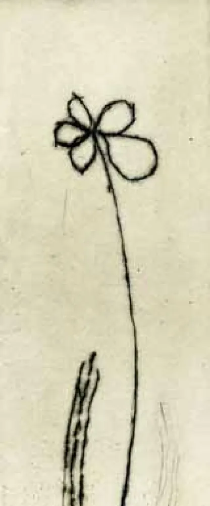 Água-Forte Tachibana  - TOT 48