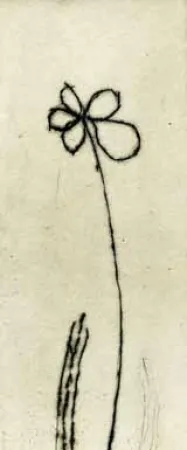 Água-Forte Tachibana  - TOT 48