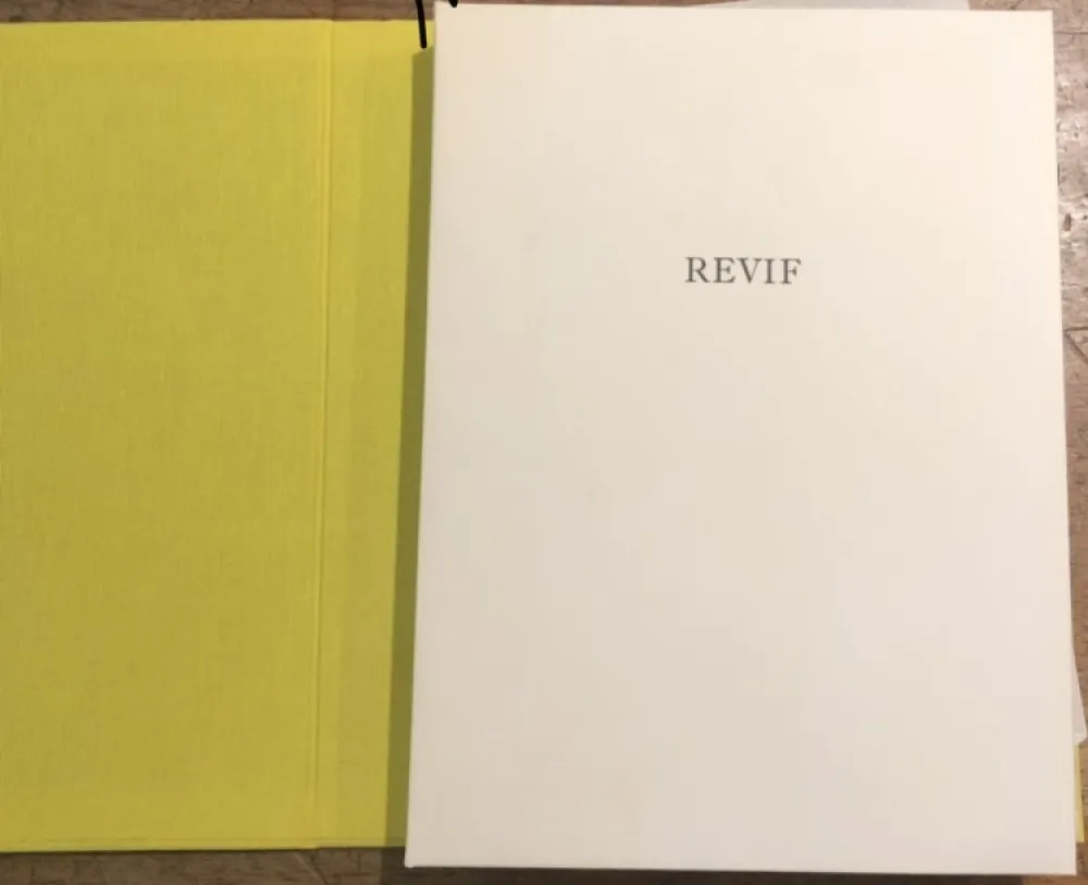 Livro Ilustrado Tal Coat - Revif