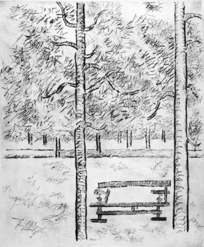 Ponta-Seca Tamburi - La panchina