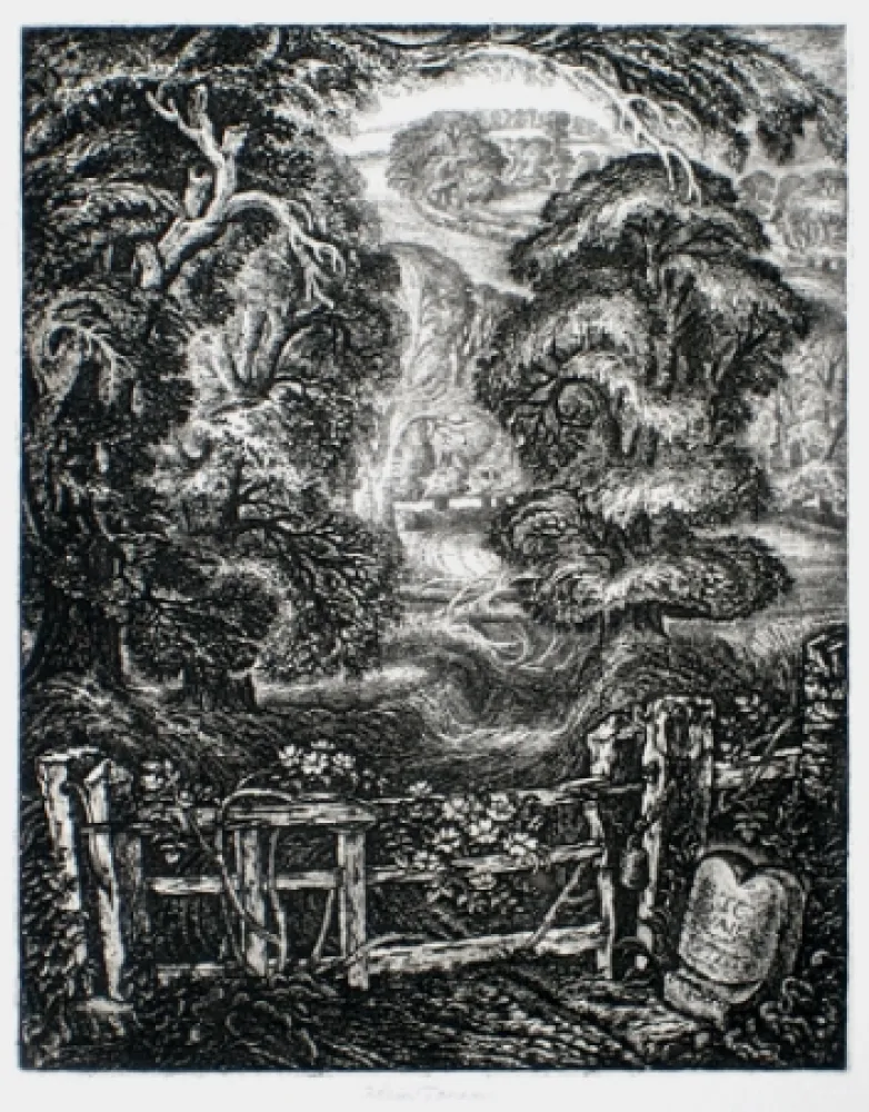 Gravura Tanner - The Old Road:  Elegy for the English Elm I