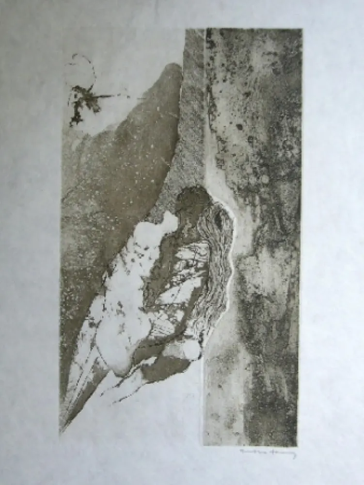 Água-Tinta Tanning - Sans titre