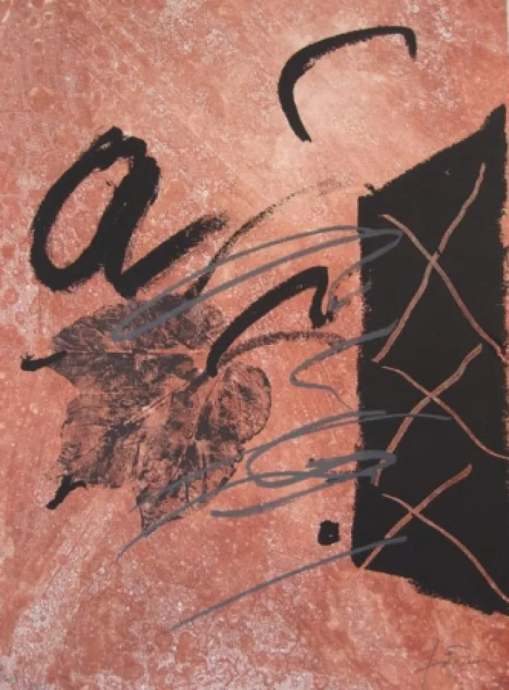 Água-Forte Tàpies - BOIS DES CERFS (Libro)
