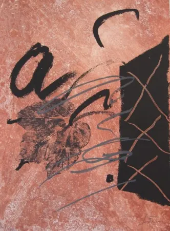 Água-Forte Tàpies - BOIS DES CERFS (Libro)