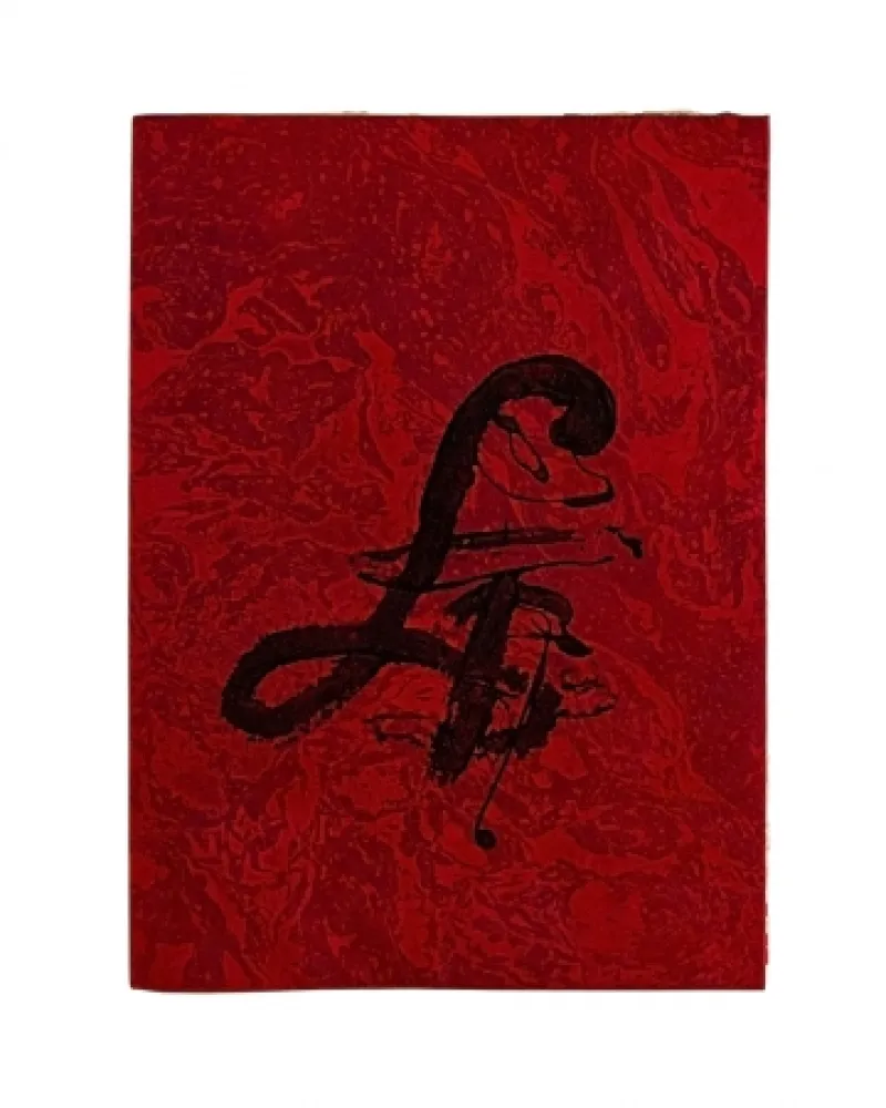 Livro Ilustrado Tàpies - Carrer de Wagner