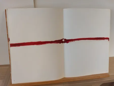 Livro Ilustrado Tàpies - Dlm180