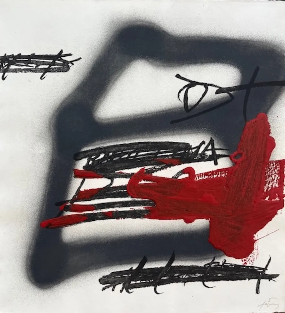 Água-Forte E Água-Tinta Tàpies - Forma ombrejada