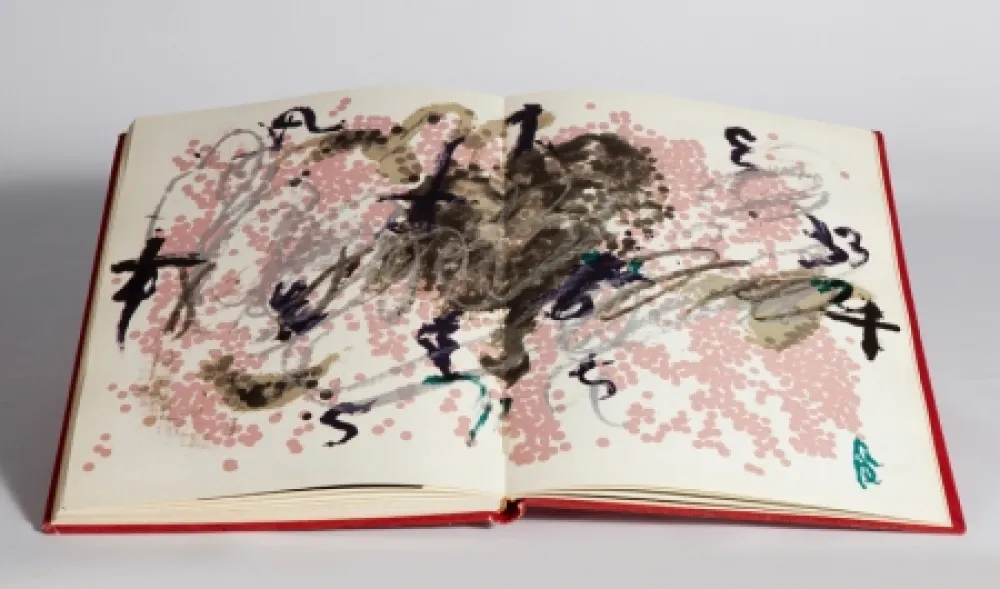 Livro Ilustrado Tàpies - Fregolí 