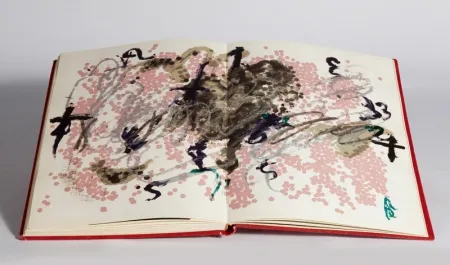 Livro Ilustrado Tàpies - Fregolí 