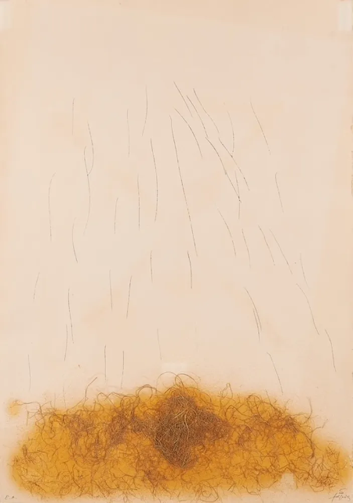 Água-Forte Tàpies - LE CRIN