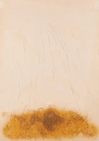 Água-Forte Tàpies - LE CRIN