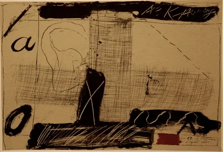 Livro Ilustrado Tàpies - Llambrec material