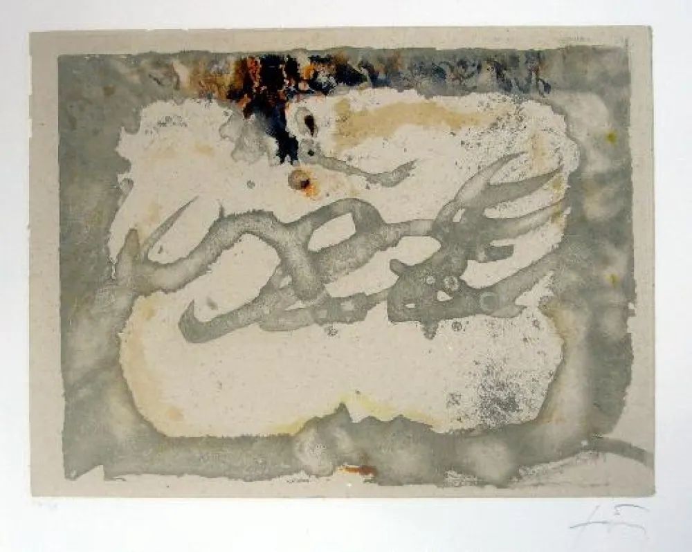 Água-Forte E Água-Tinta Tàpies - Muntanyes