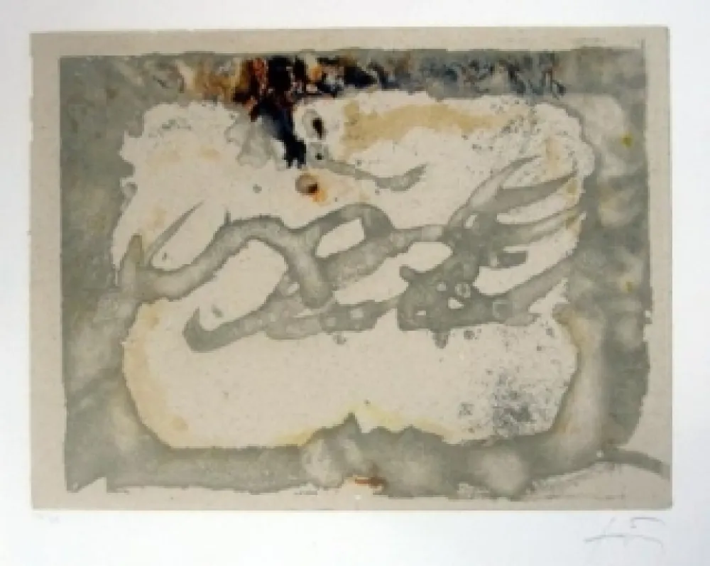 Água-Forte E Água-Tinta Tàpies - Muntanyes