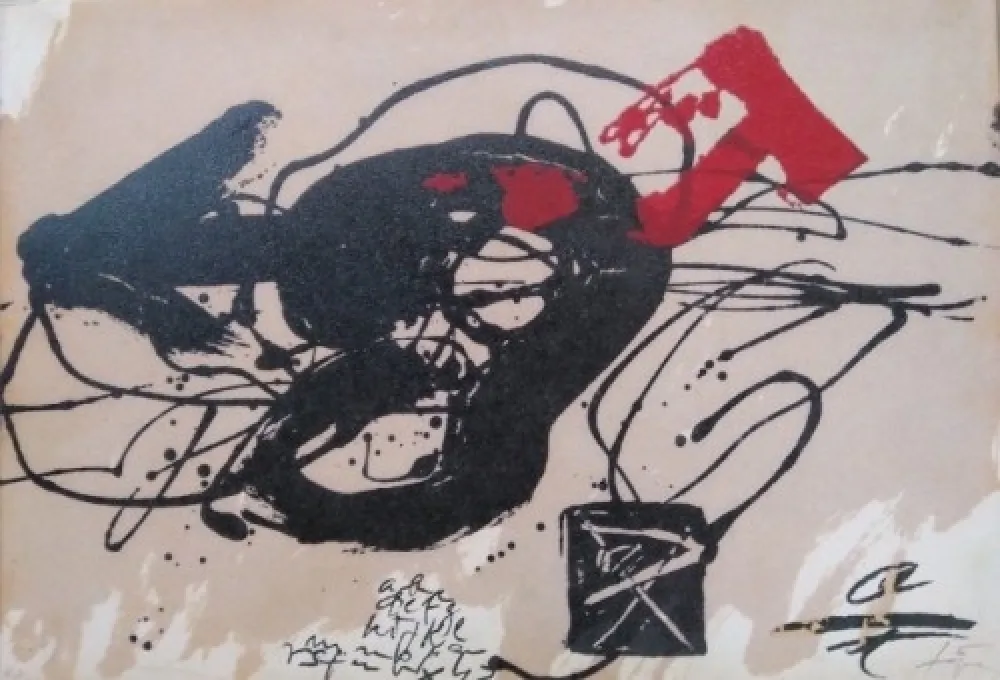 Água-Forte Tàpies - Primer Congreso Nacional de Neuropedriatria