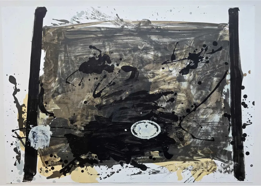 Sem Técnica Tàpies - Suite