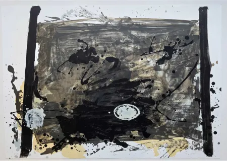 Sem Técnica Tàpies - Suite