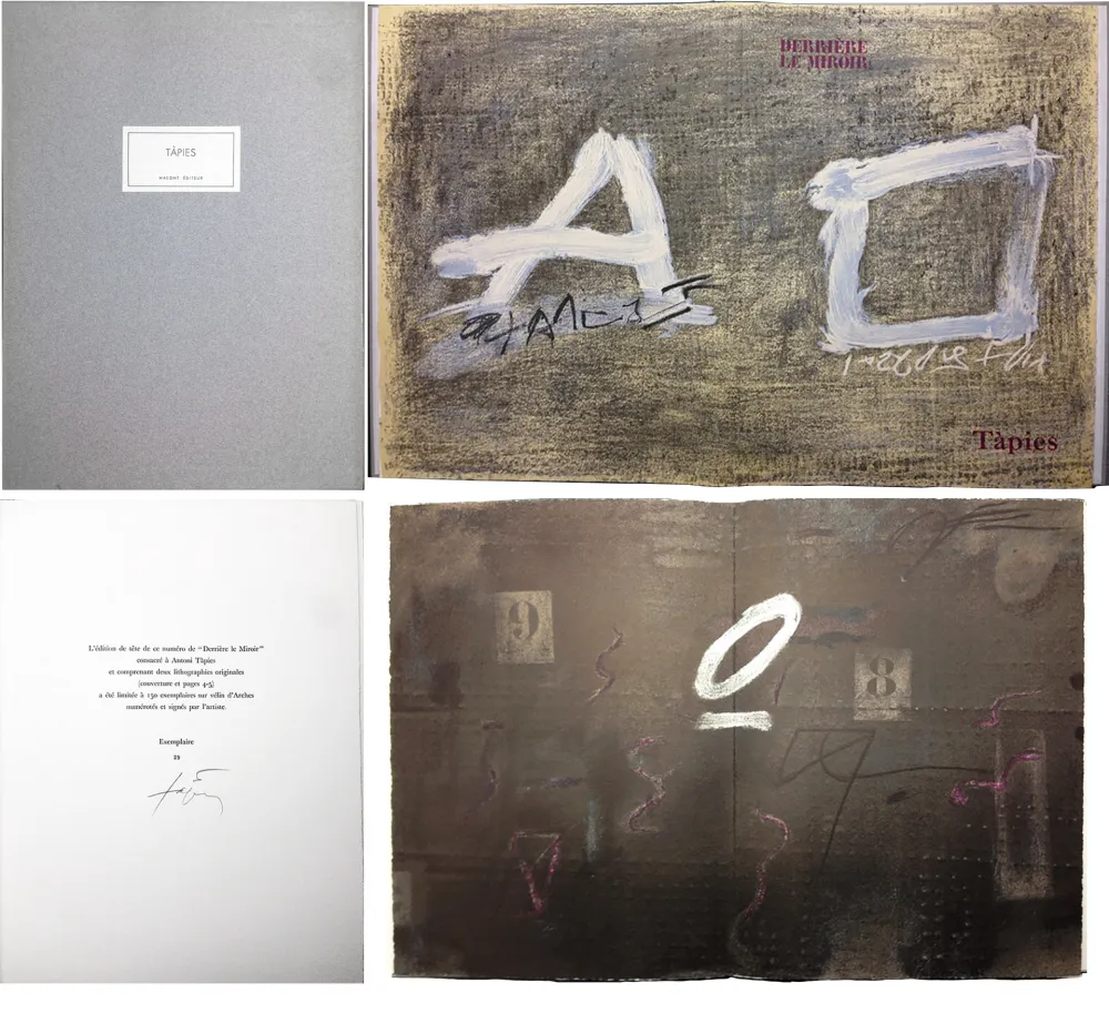 Livro Ilustrado Tàpies - TÀPIES. 