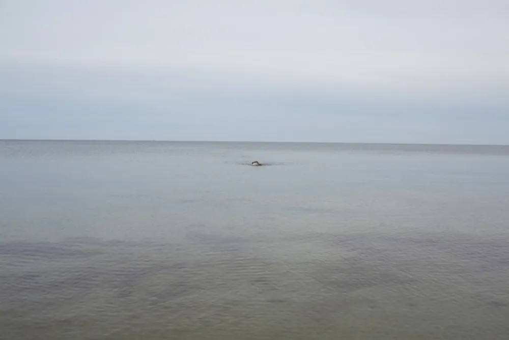 Sem Técnica Teller - Swimming, Glemmingebro, Sweden 2015