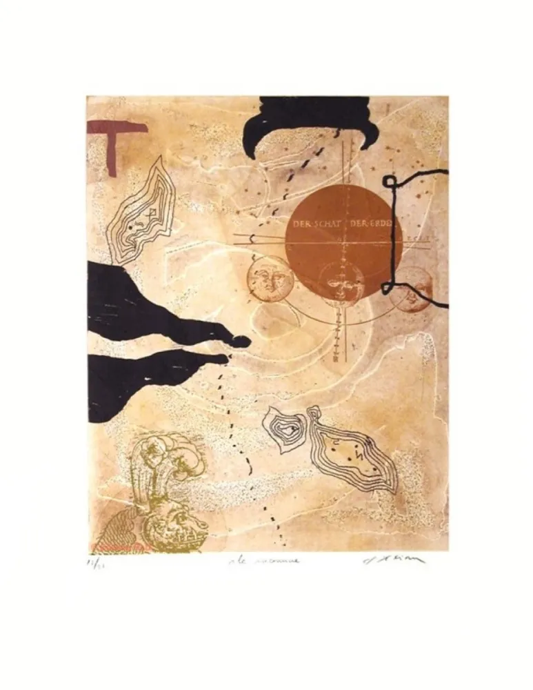 Gravura Texier - L'île inconnue