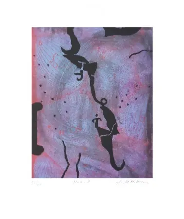 Gravura Texier - NOX D