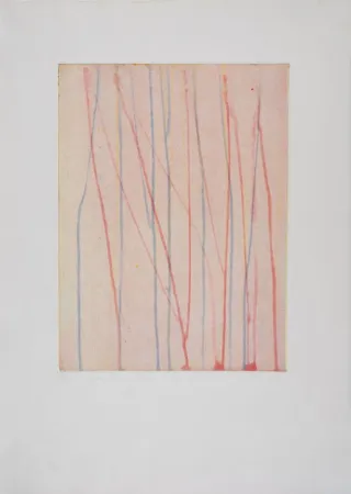 Água-Forte E Água-Tinta Thoma - 