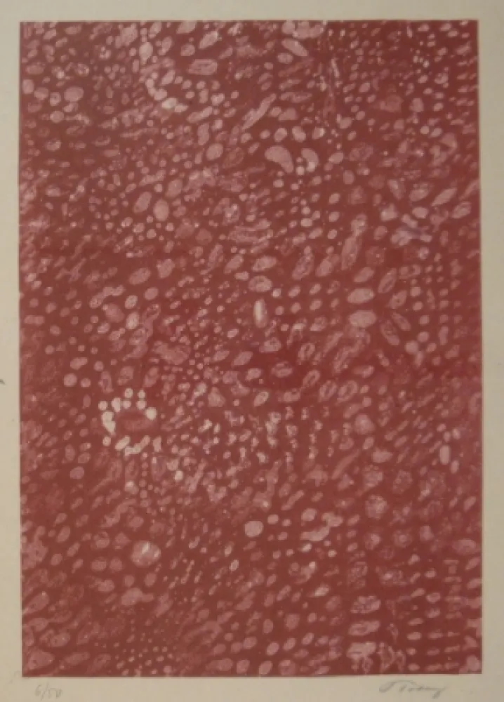 Litografia Tobey - Komposition.