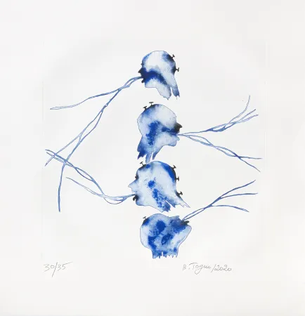 Gravura Toguo - Bénoué