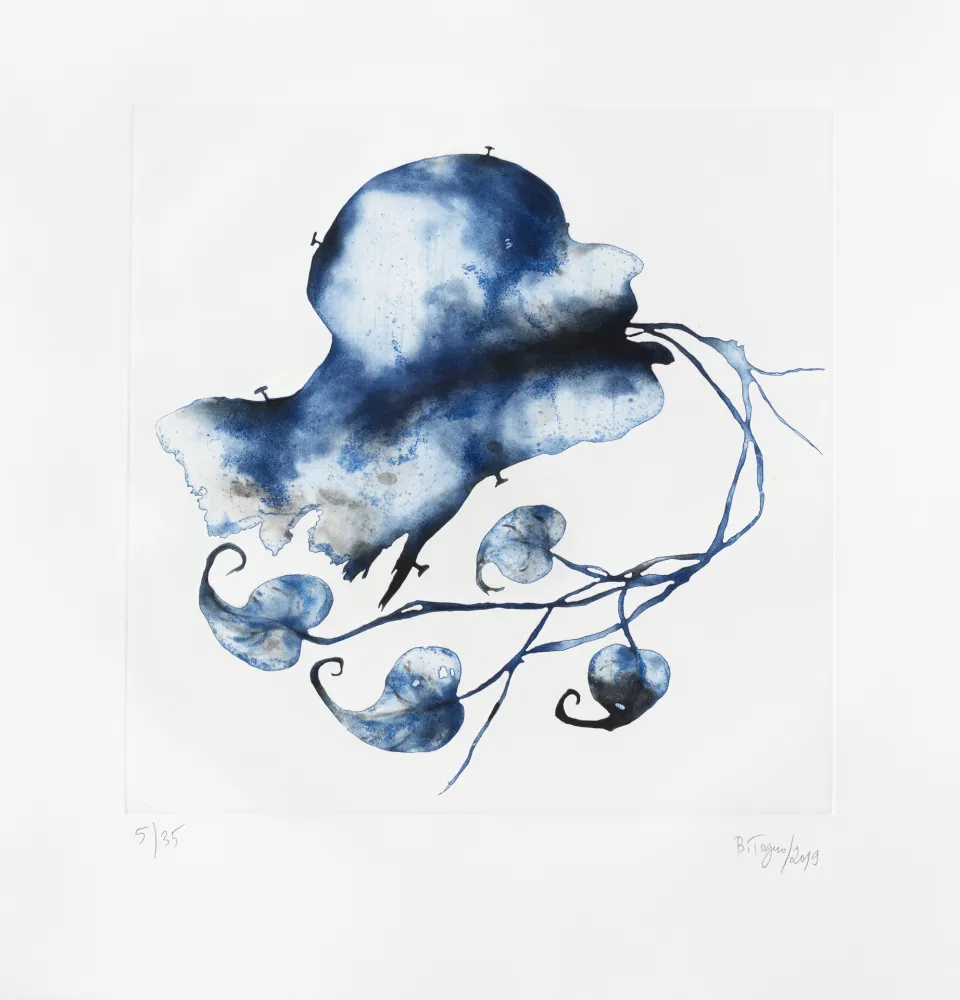 Gravura Toguo - Wouri