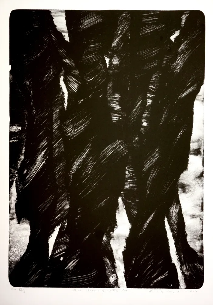 Litografia Tøjner - Dark shadows of central park