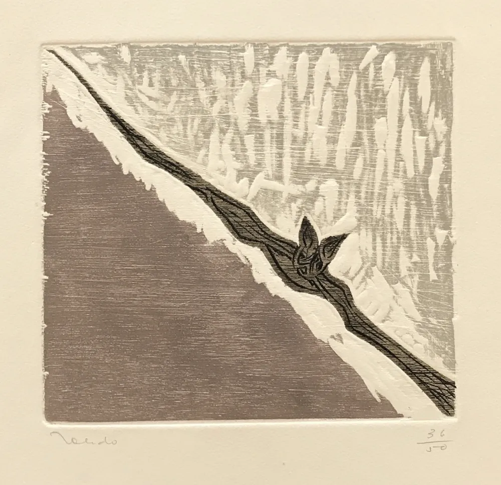 Gravura Toledo - Bat in Flight 