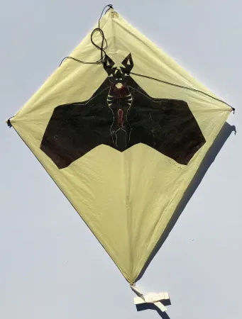 Sem Técnica Toledo - Bat on Yellow Background Kite