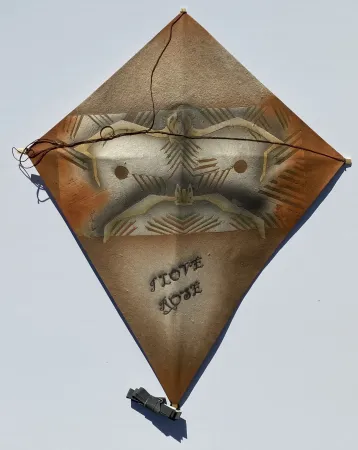 Sem Técnica Toledo - Bats Kite