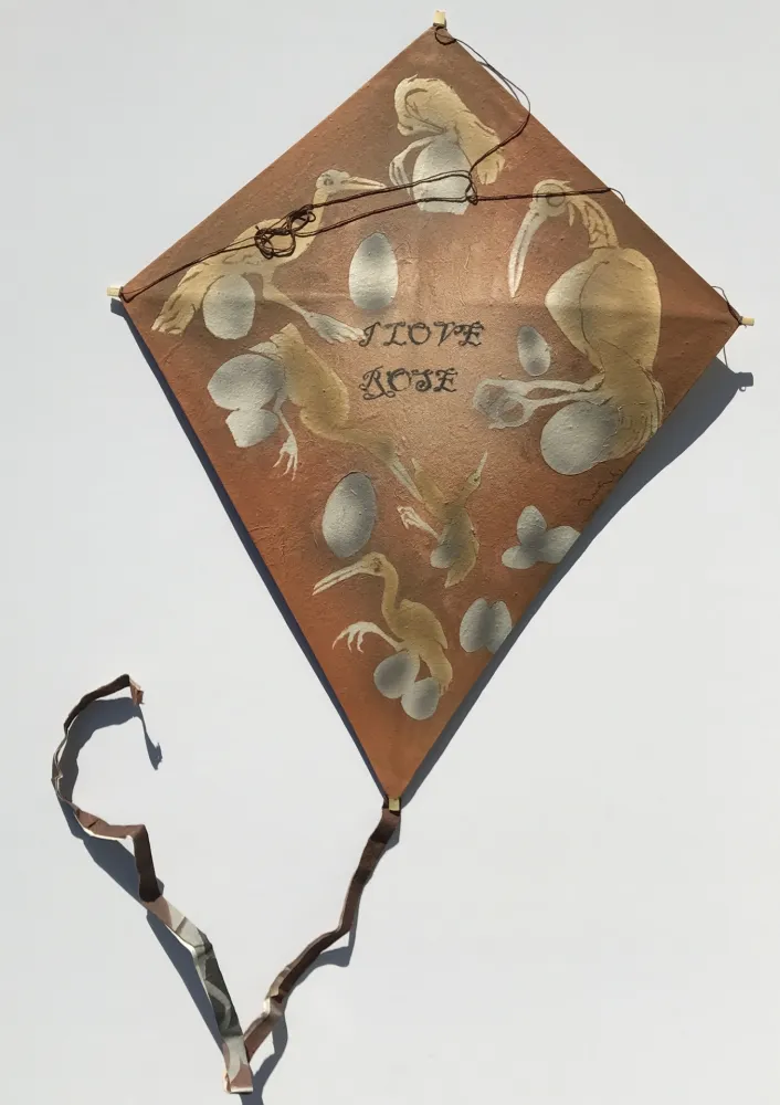 Sem Técnica Toledo - Birds with Eggs Kite