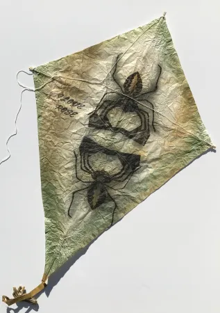 Sem Técnica Toledo - Black Spiders Kite