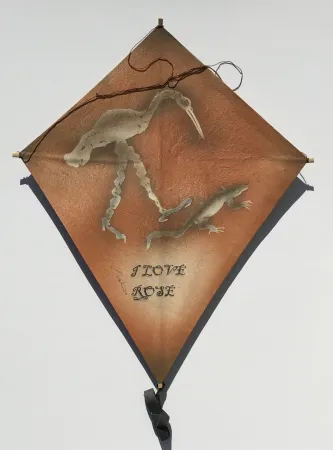 Sem Técnica Toledo - Crane and Iguana Kite