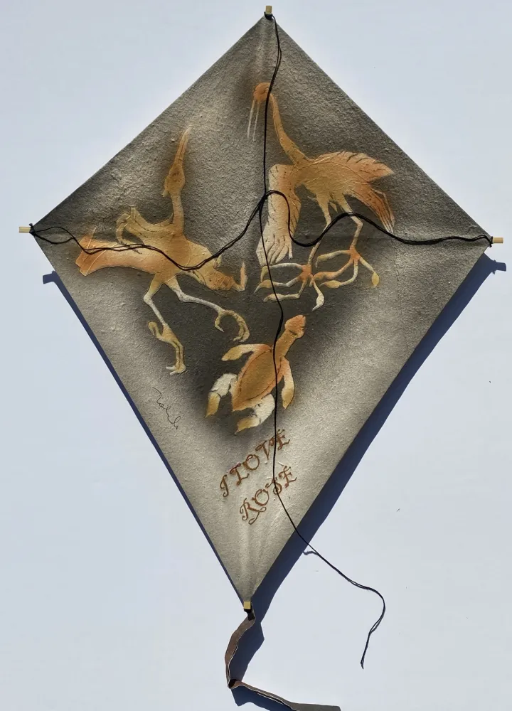 Sem Técnica Toledo - Cranes with Sea Turtle Kite