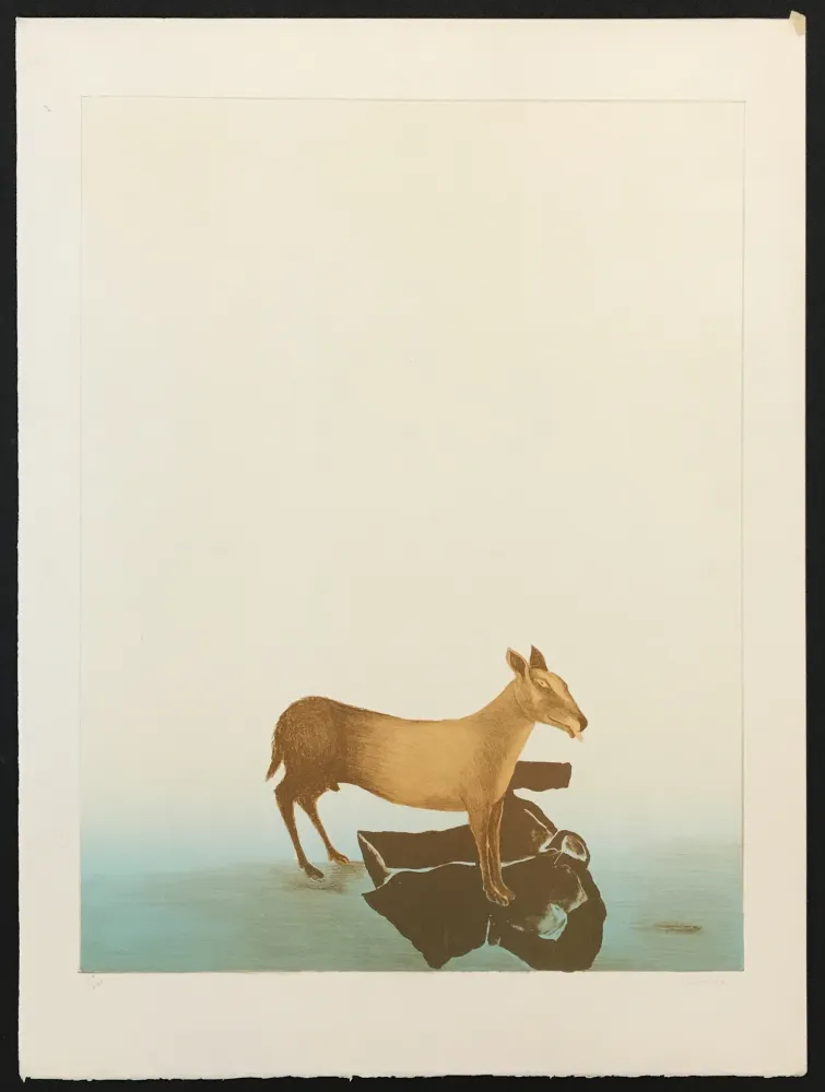 Gravura Toledo - Dog and Shirt