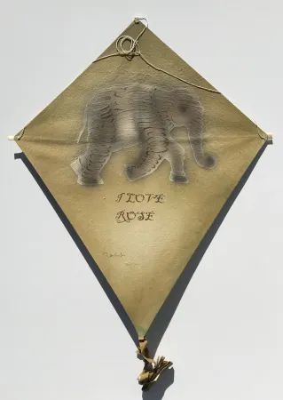 Sem Técnica Toledo - Elephant Kite 