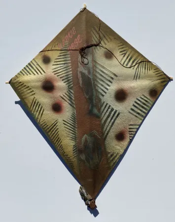 Sem Técnica Toledo - Fish and Crab Kite