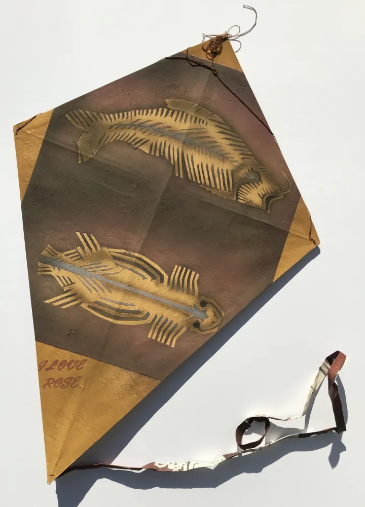 Sem Técnica Toledo - Fish and Turtle Kite